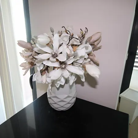 T1 Da Rocha / Rocha Prime B5 Appartement *
